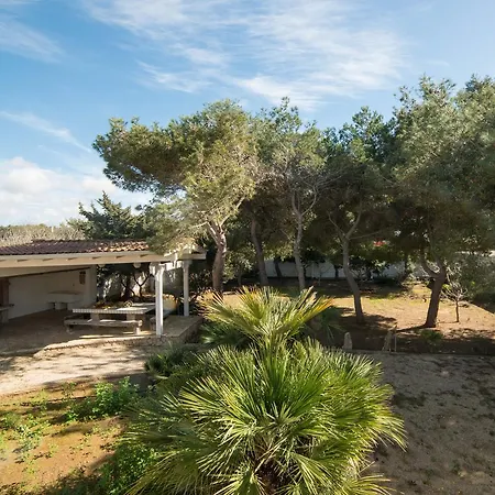 فيلة Conca D'oro