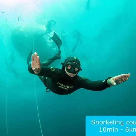 Conca D'oro فيلة غالّيبولي