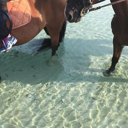 Вілла Conca D'oro *