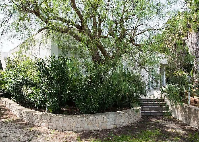 Conca D'oro فيلة *