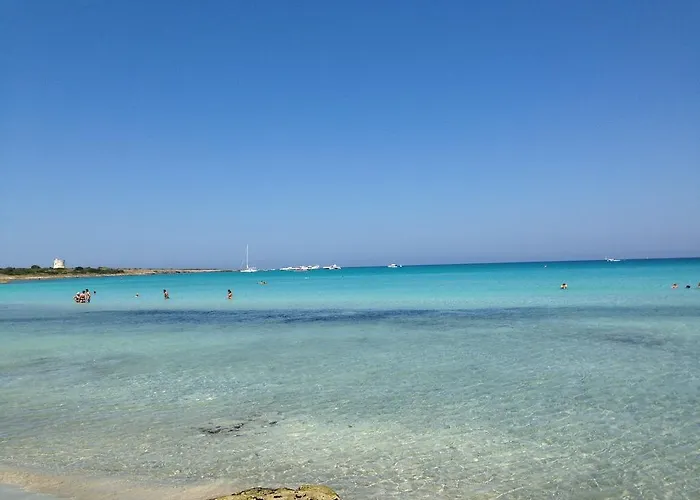 فيلة Conca D'oro *