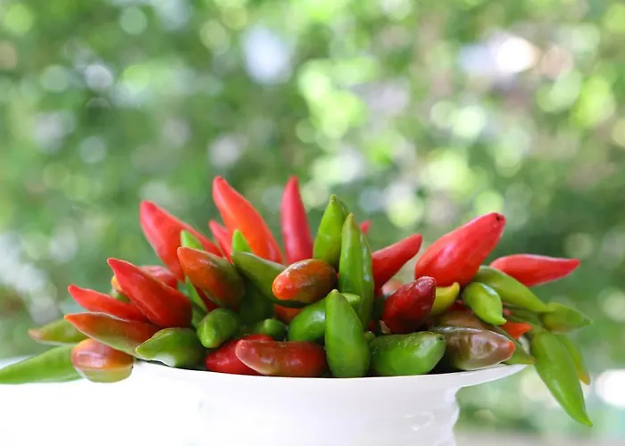 فيلة Conca D'oro غالّيبولي