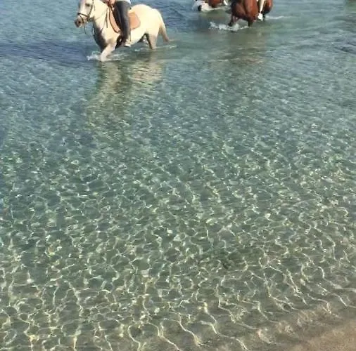 Conca D'oro فيلة *